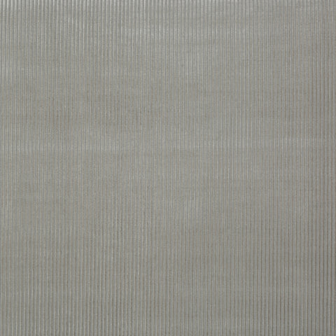 Velveteen Ribbon