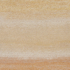 Aakāsh / Panel
