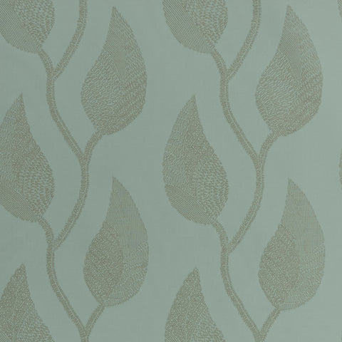 Zebrina