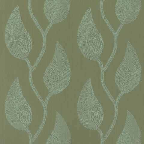 Zebrina