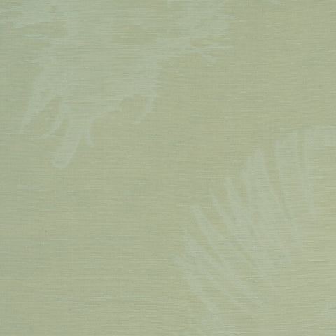 Plume