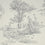 Sacred Grove