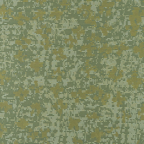 Tropical Download
