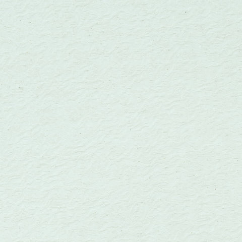 Shadow Waves