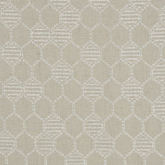 Lace Curtain
