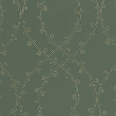 Braided Lattice
